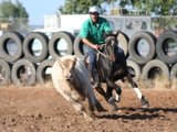 Darren Jewell & Spinner_ Photo by Jane Spencer