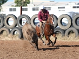 Nick Taylor & Smartie_ Photo by Jane Spencer