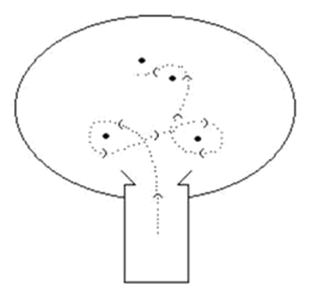 course diagram